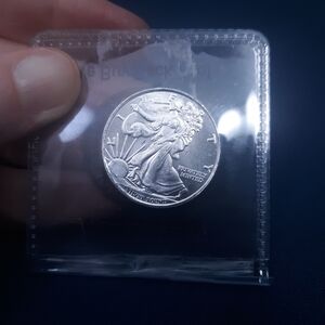 1/4 Troy Oz .999 fine silver generic round Standing Liberty design bullion coin